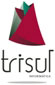 TRISUL INFORMATICA S.L., partner de Epsilon indi